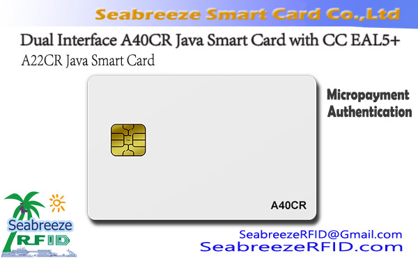 JAVA Card マイクロペイメント & 認証ソリューション