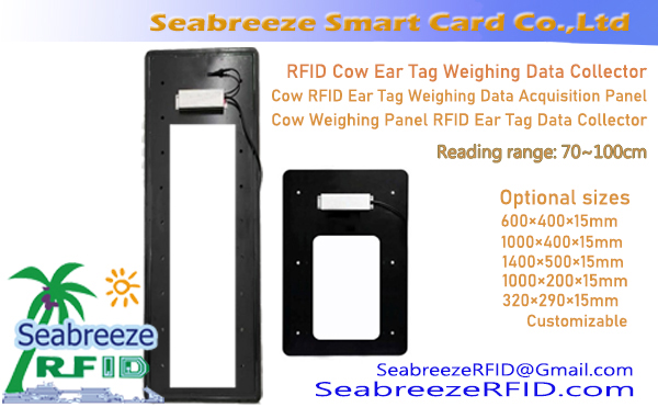 RFID Cow Ear Tag Weighting Data Collector, Cow RFID Ear Tag Weighting Data Acquisition Panel, Cow Weighting Panel RFID Ear Tag Data Collector